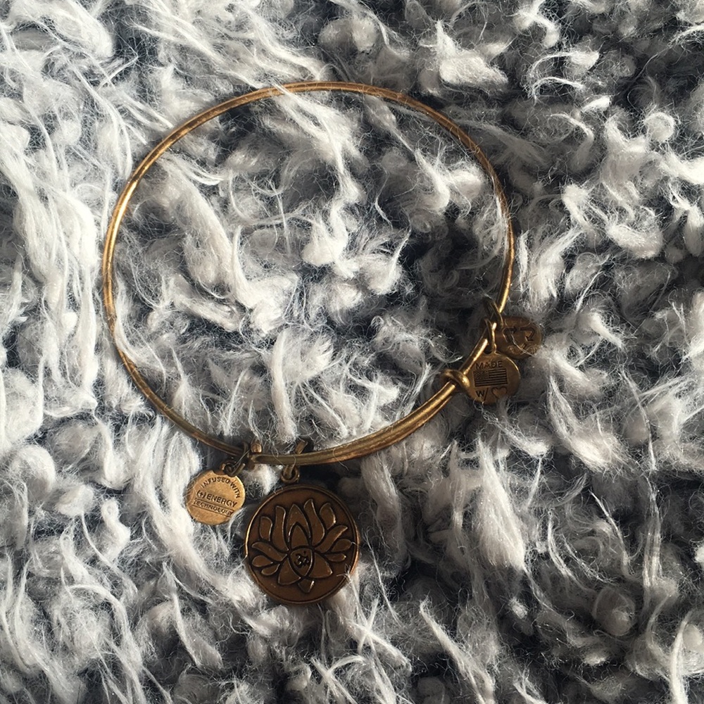 Alex & Ani bracelet